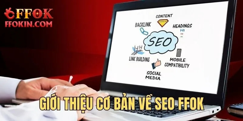 Giới thiệu sơ bản về SEO FFOK
